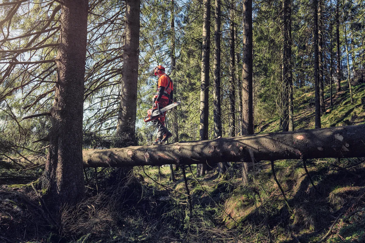 Husqvarna 572 XP Chainsaw 966733109 - Image 3