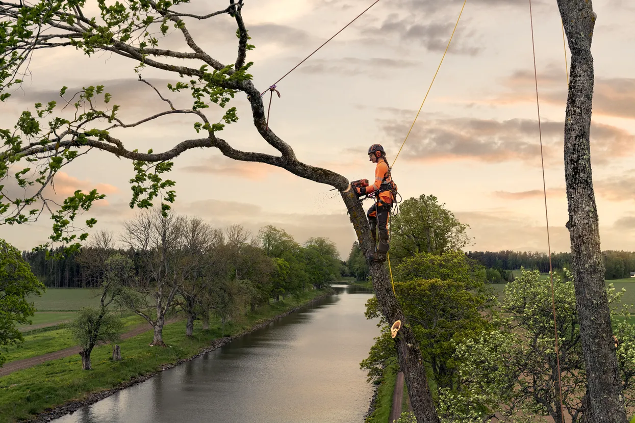 Husqvarna T540 XP® Mark III Chainsaw 970510014 - Image 4