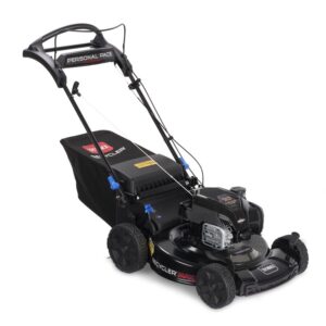 Toro 22in Push Mower Gas