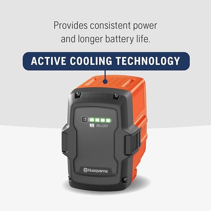 618ykIOPpfL._AC_SX679_ Husqvarna Bli 30 Lithium 36V Battery